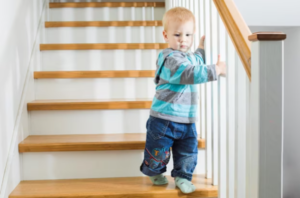 Franklin Toddler Home Safety